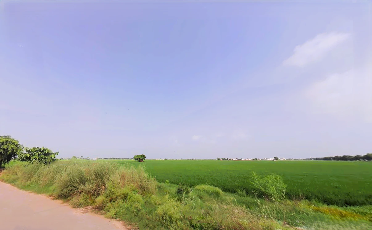 Lukhi, Haryana 136119, India