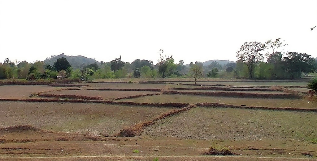 Kumjharia, Odisha 770039, India
