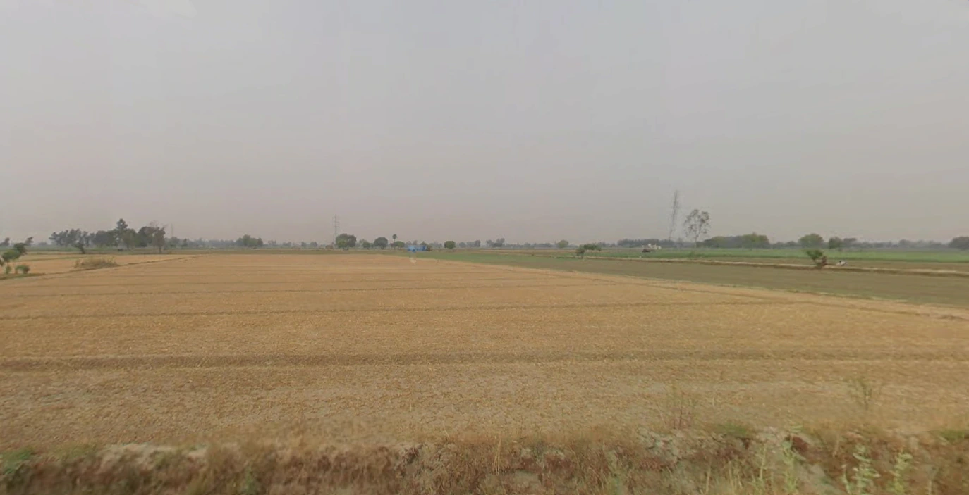 Dhanaura, Uttar Pradesh 244231, India