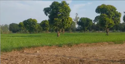 4CJ7+9Q6, Inayatpur, Bhopal, Madhya Pradesh 462042, India preview 3