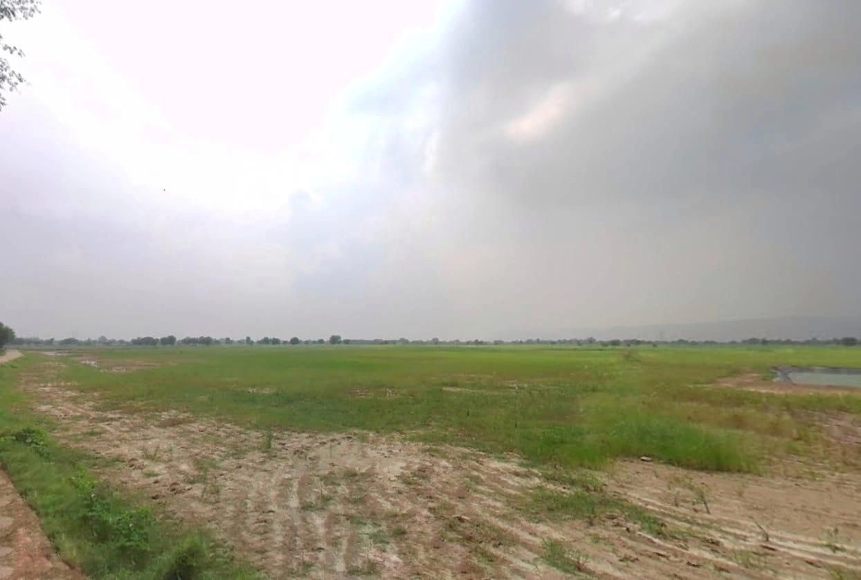 3GC8+4C2, Rambas, Rajasthan 303313, India