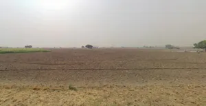 Aterna, Haryana 131023, India preview 3