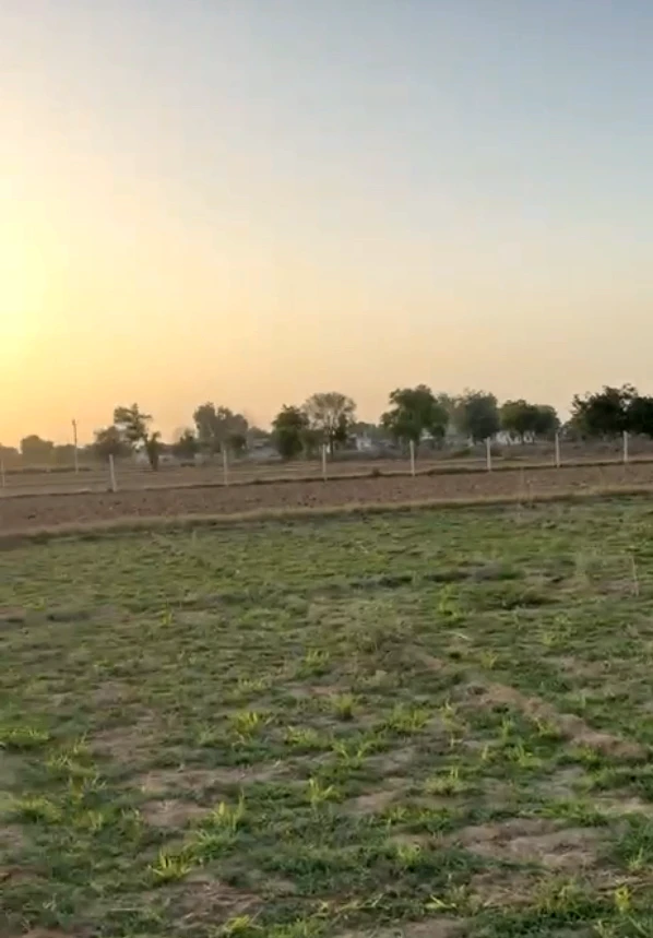 FRG8+RW9, Moonpur, Rajasthan 301408, India