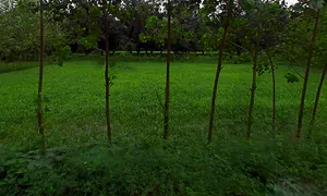 Pathed, Uttar Pradesh 247669, India preview 2