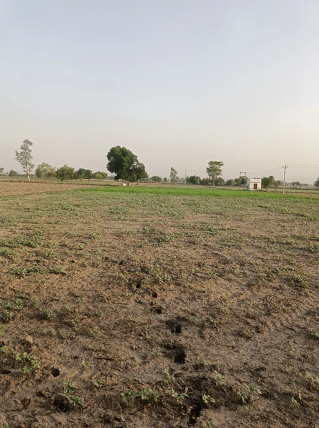 Agroha, Haryana 125047, India