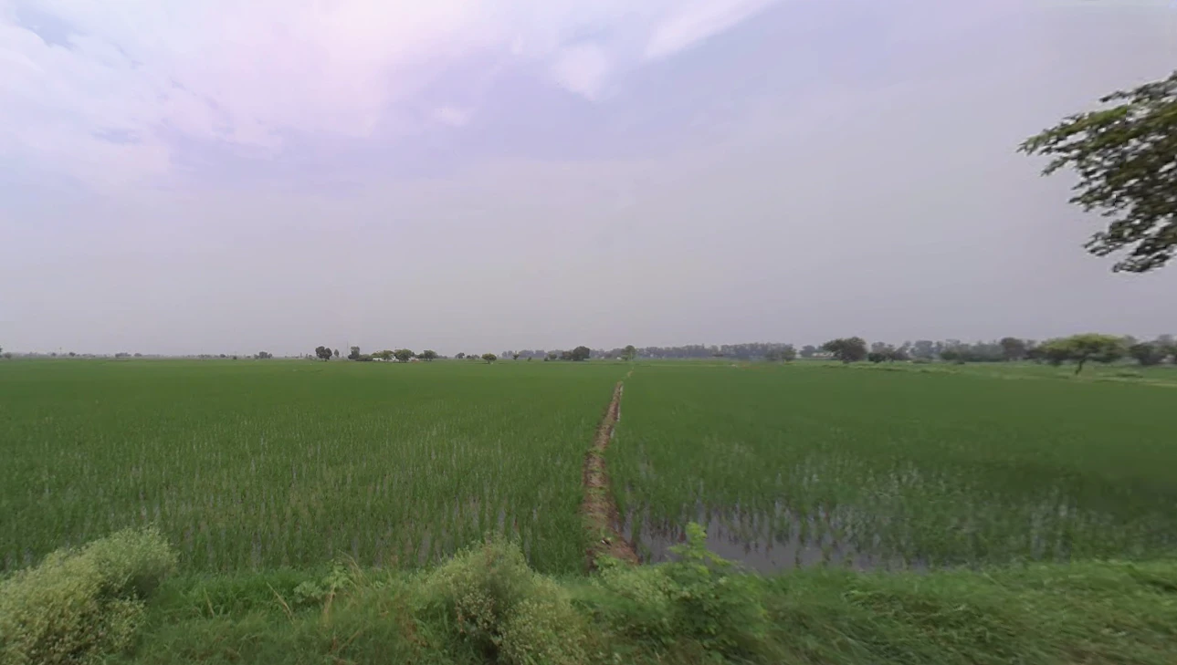 Madlauda, Haryana 132113, India