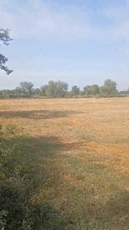 MMX5+C5 Rata Khurd, Khairthal-Tijara, Rajasthan, India
