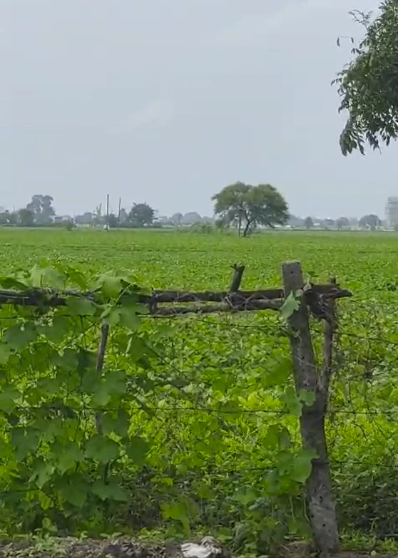 Limboda Gari, Indore, Madhya Pradesh, India