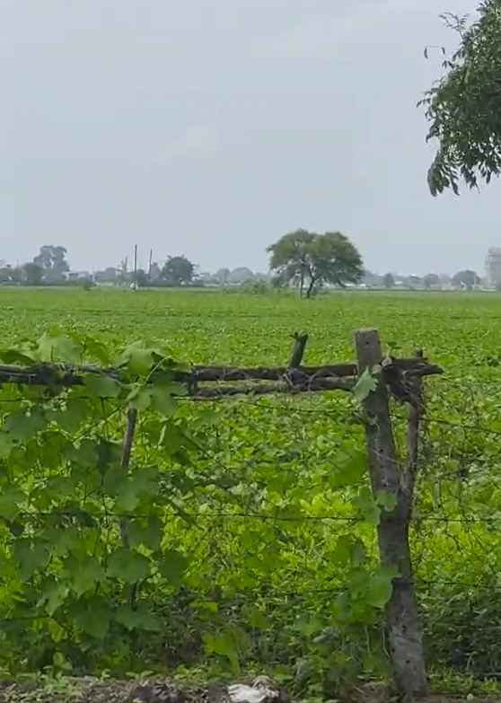 Limboda Gari, Indore, Madhya Pradesh, India