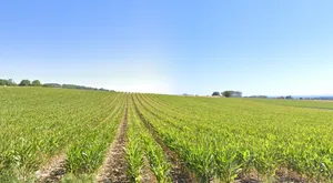 Unnao, Uttar Pradesh, India preview 3