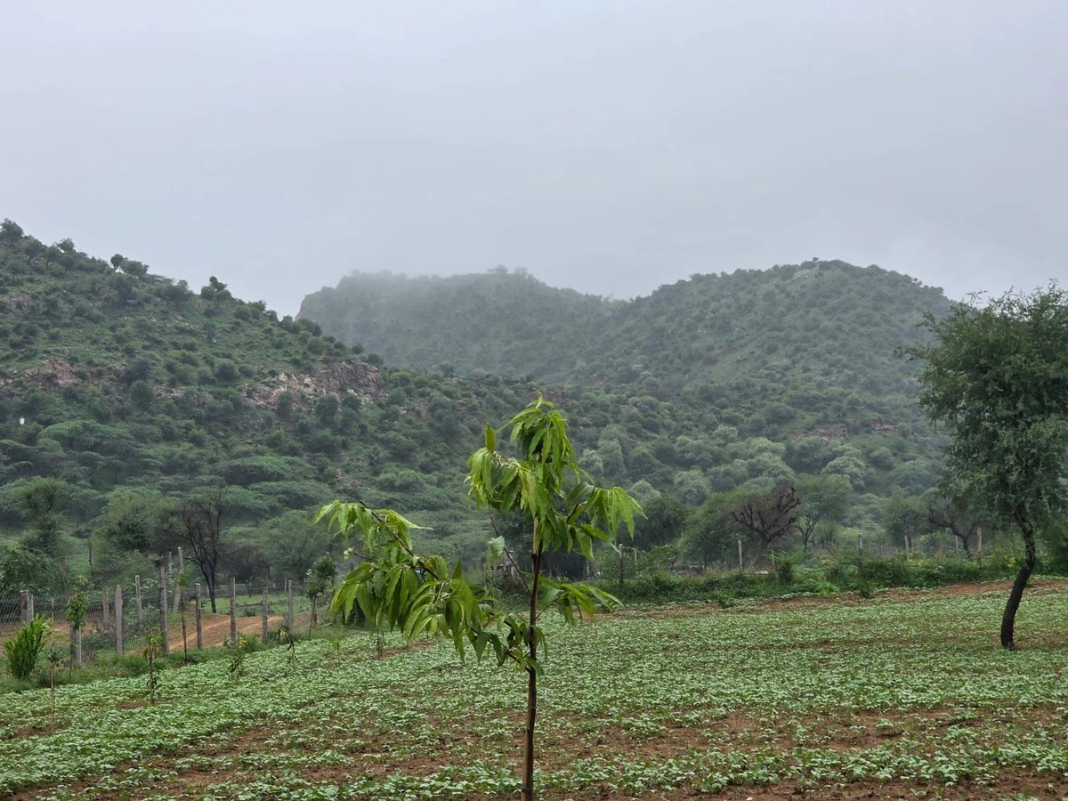 R952+6JG, Bichoon, Rajasthan 303604, India