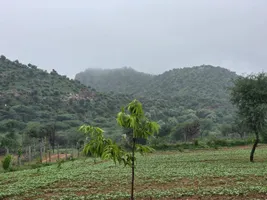 R952+6JG, Bichoon, Rajasthan 303604, India preview 3