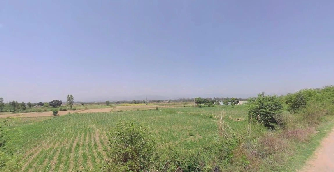 Narayangarh, Haryana 134204, India