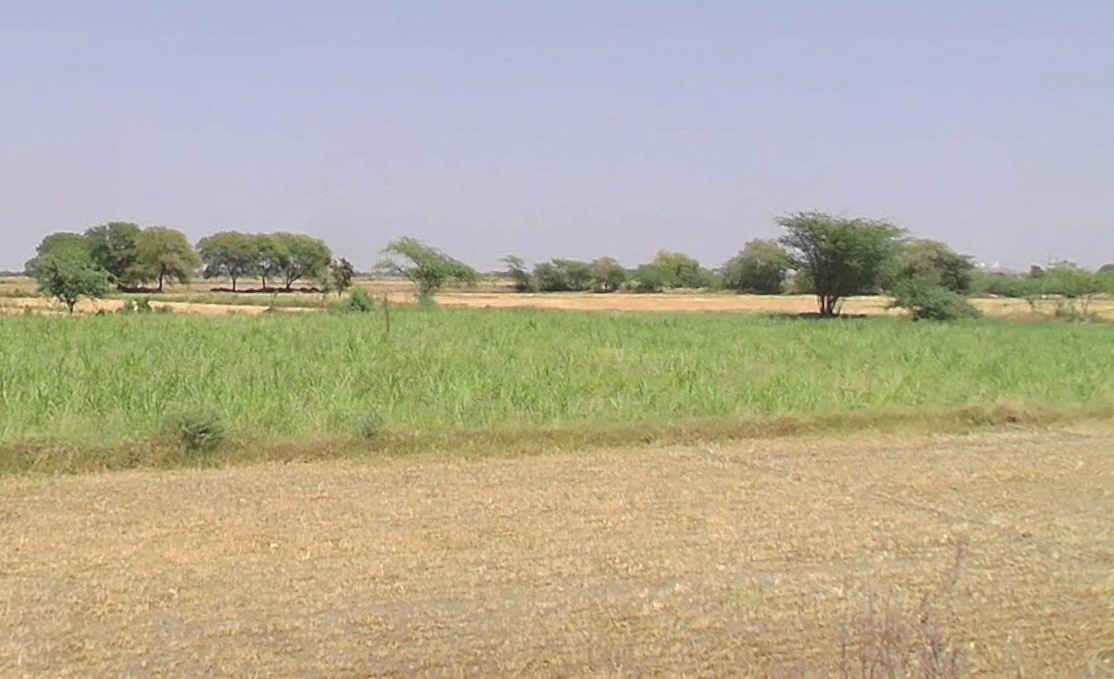 Guradiyadasa, Madhya Pradesh 456443, India