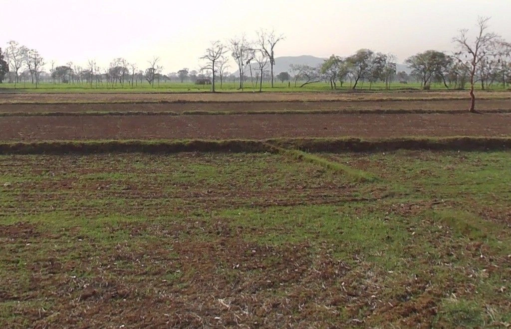 Chikhla, Chhattisgarh 491993, India preview 2