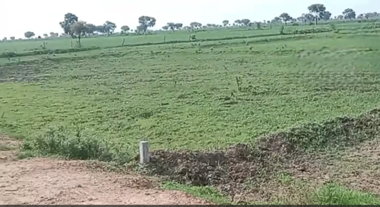 55JM+Q4R, Shivpuri, Pichhore, Madhya Pradesh 473995, India