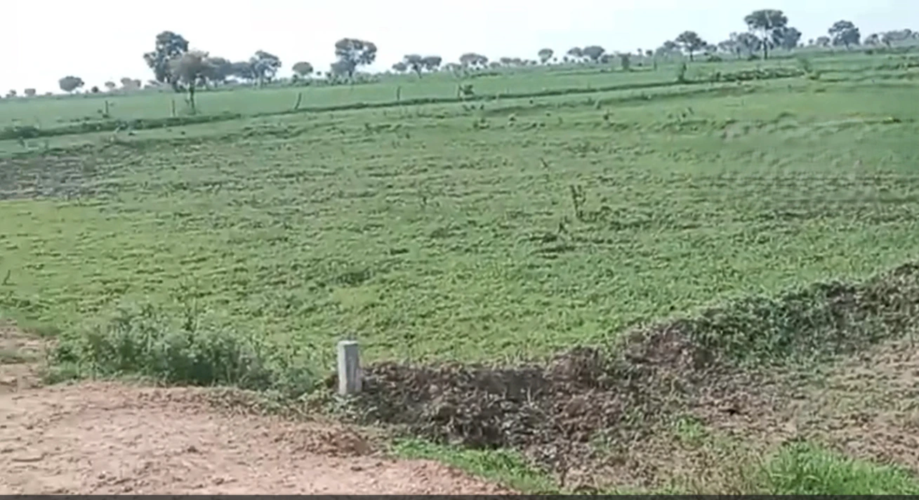 55JM+Q4R, Shivpuri, Pichhore, Madhya Pradesh 473995, India