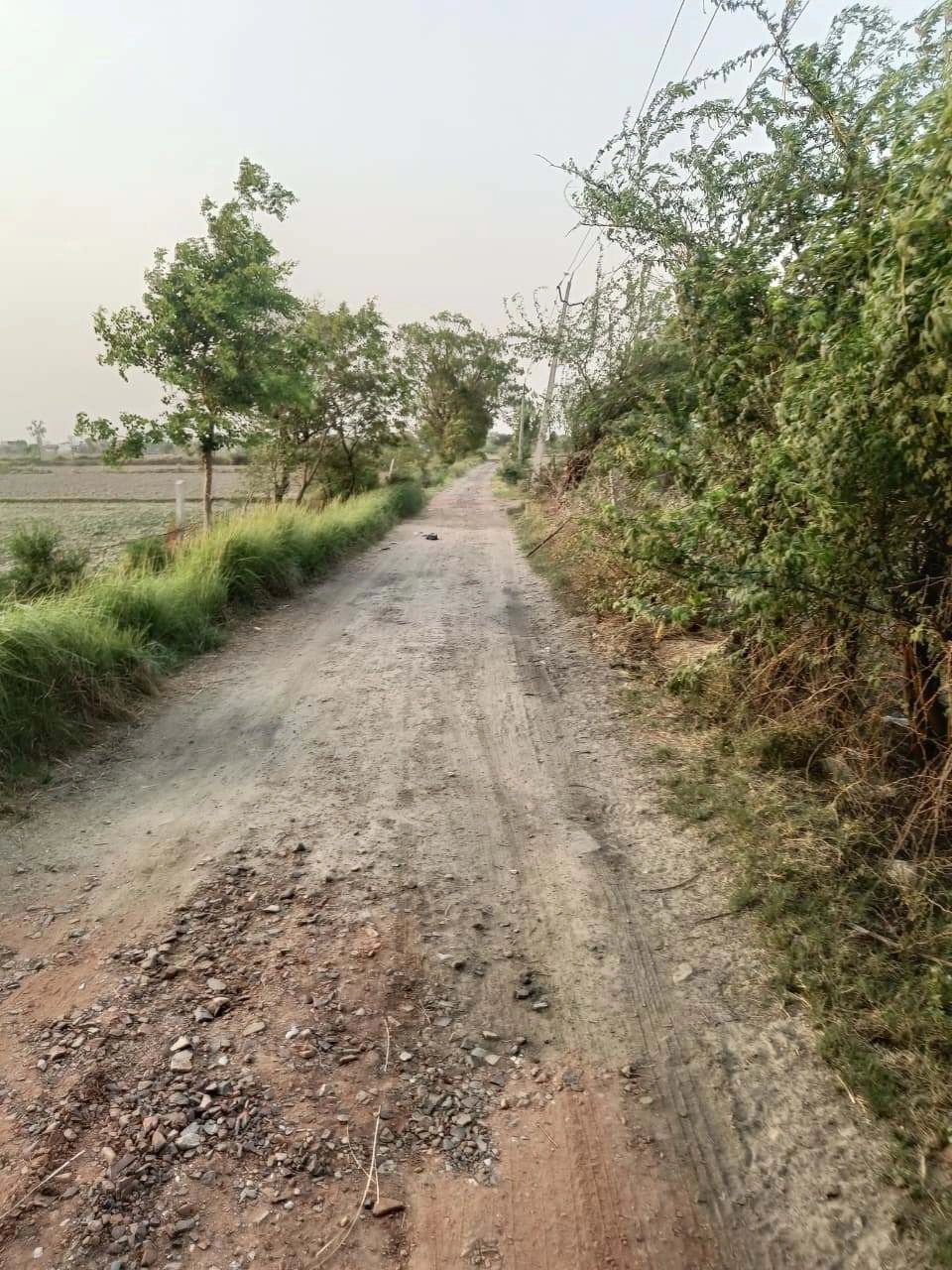 Chandauri, Uttar Pradesh, India