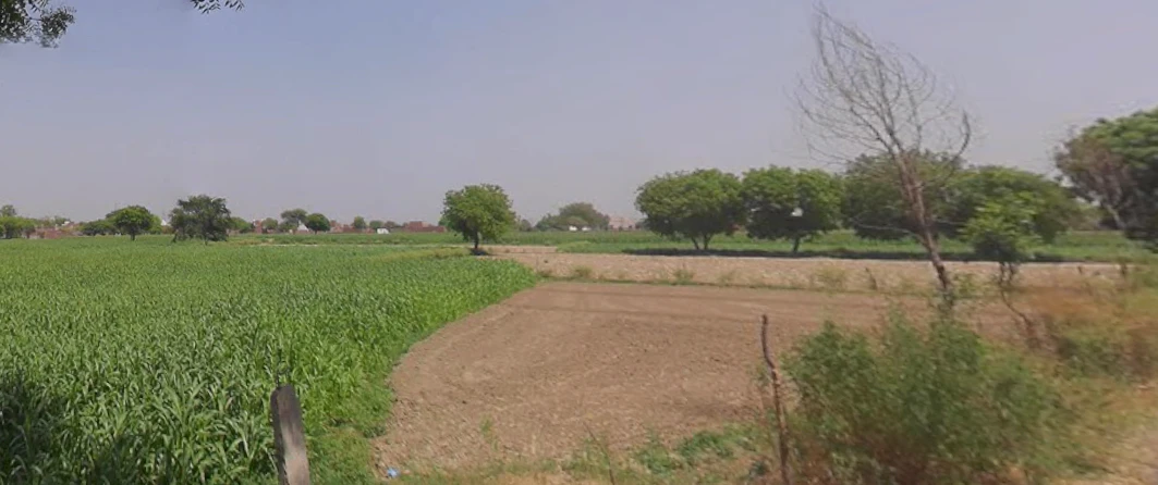 Salarpur, Haryana 125055, India