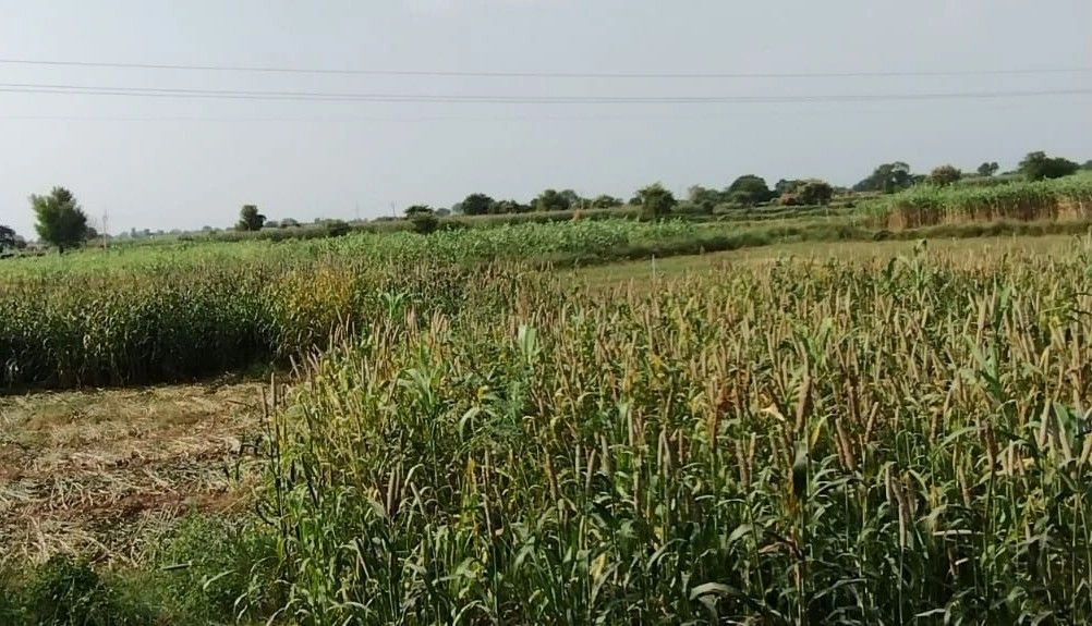 Saleta, Rajasthan 301022, India
