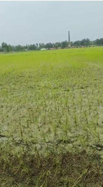 Dhikoli, Baghpat, Baghpat, Uttar Pradesh, India