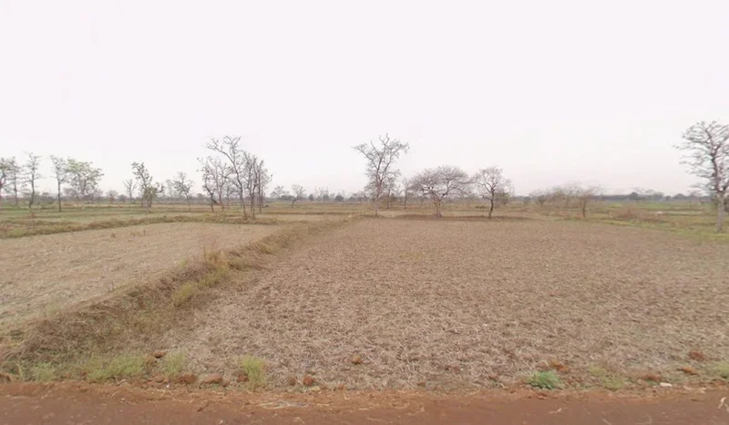 Mohra, Chhattisgarh, India preview 3