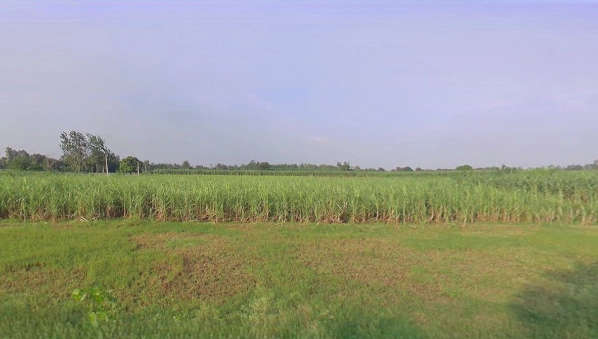 Chhapar, Uttar Pradesh 251307, India preview 2