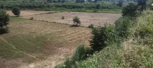 Jugrawar, Rajasthan, India preview 2