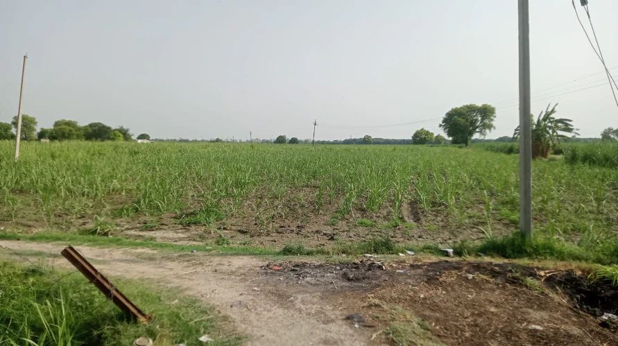 H5C2+PJ Jhapda Kalan, Jaipur, Rajasthan, India