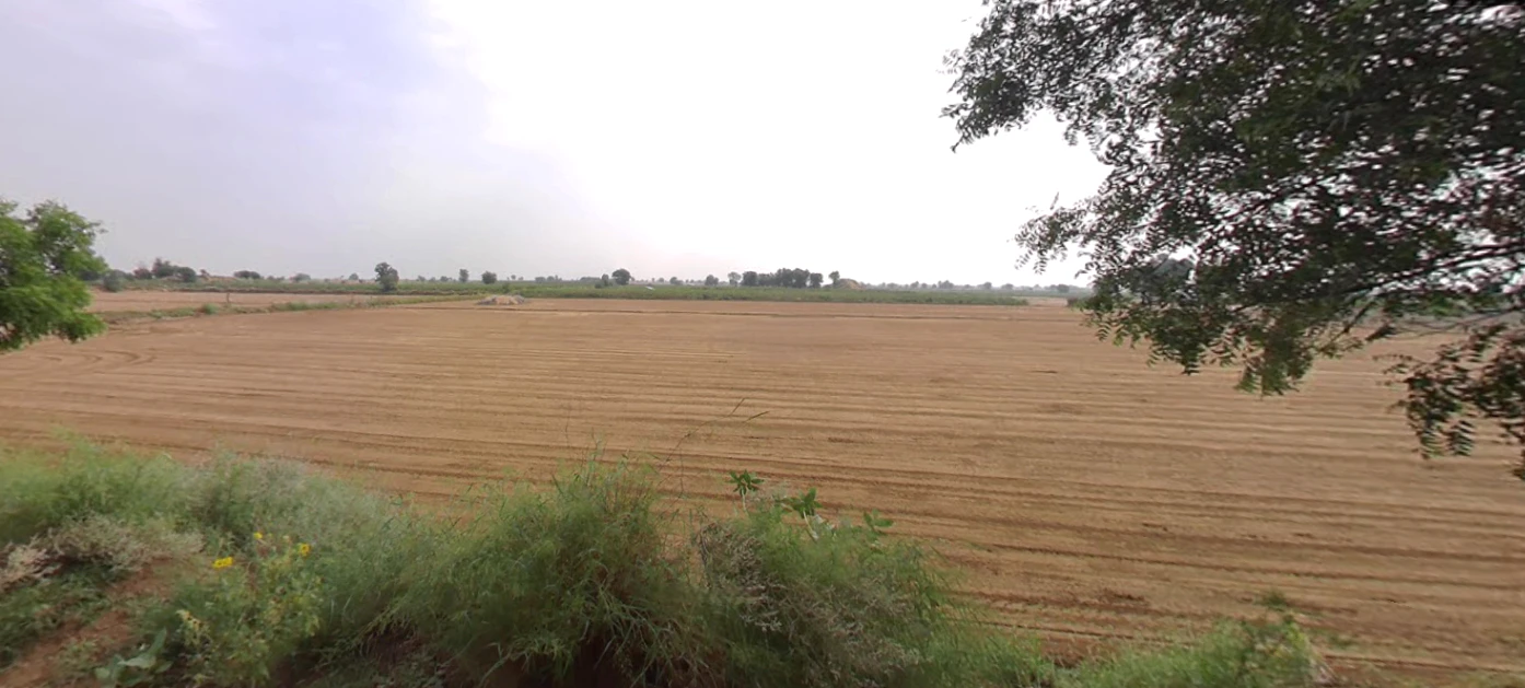 Kaluana, Haryana 125103, India