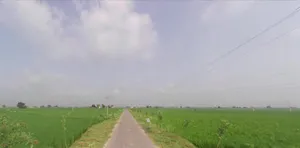 Begpur, Haryana, India preview 4