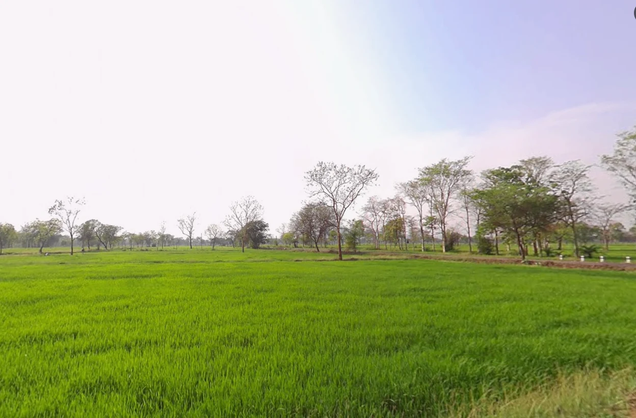 Deori, Chhattisgarh, India