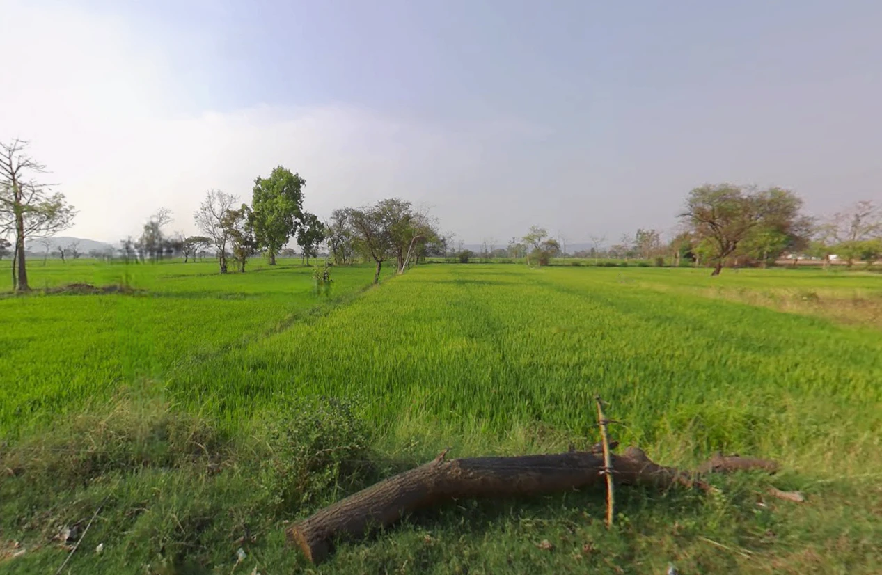 Gadamore, Chhattisgarh 491337, India