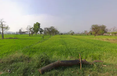 Gadamore, Chhattisgarh 491337, India preview 2