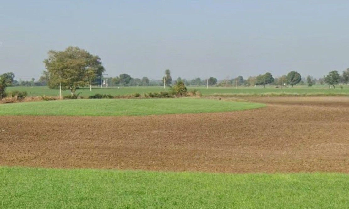 Tala, Madhya Pradesh 484664, India