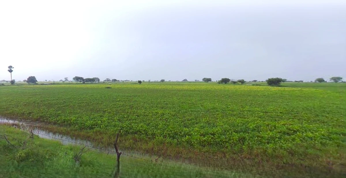 Gurugram, Haryana, India