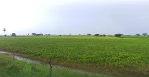 Gurugram, Haryana, India preview 3