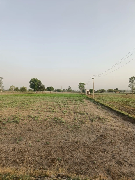 Barnagar, Madhya Pradesh 456771, India preview 2