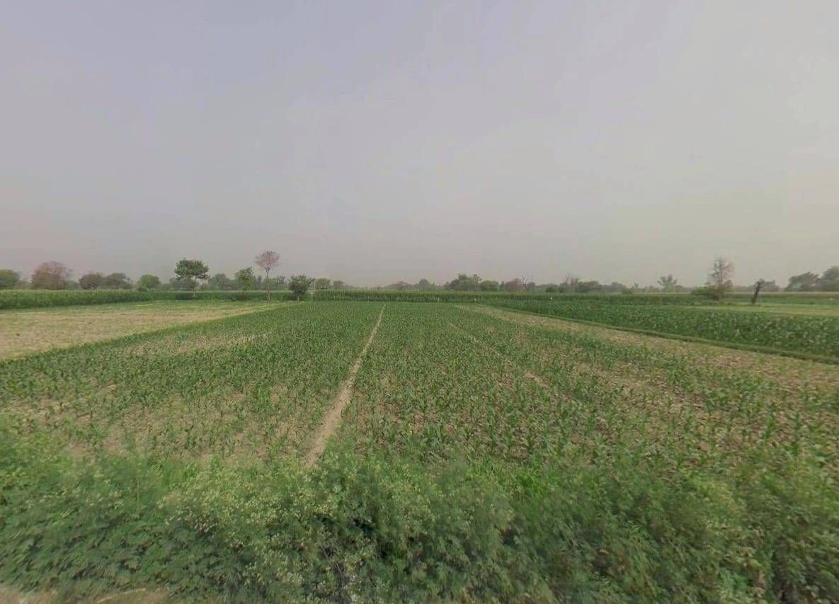 Atrauli, Uttar Pradesh, India