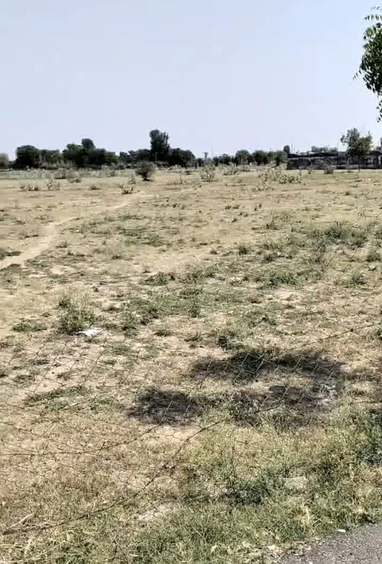 9V85+J5J, Laxmangarh, Rajasthan 321607, India