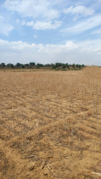 Suar, Uttar Pradesh 244924, India