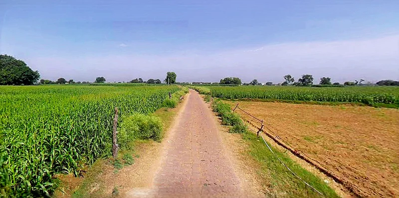 Vidisha, Madhya Pradesh 464001, India preview 3