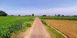 Vidisha, Madhya Pradesh 464001, India preview 3