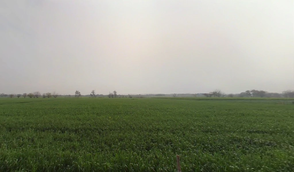 JMG6+PJ4, Jhajjar, Jhajjarrural, Haryana 124103, India