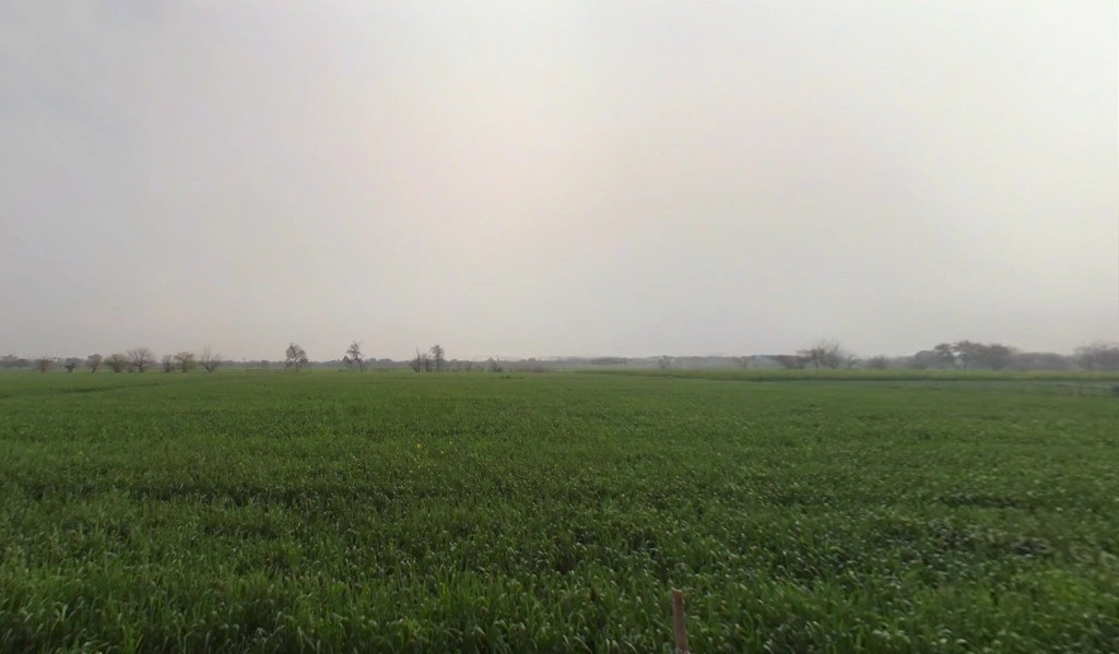 JMG6+PJ4, Jhajjar, Jhajjarrural, Haryana 124103, India