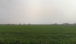 JMG6+PJ4, Jhajjar, Jhajjarrural, Haryana 124103, India preview 3