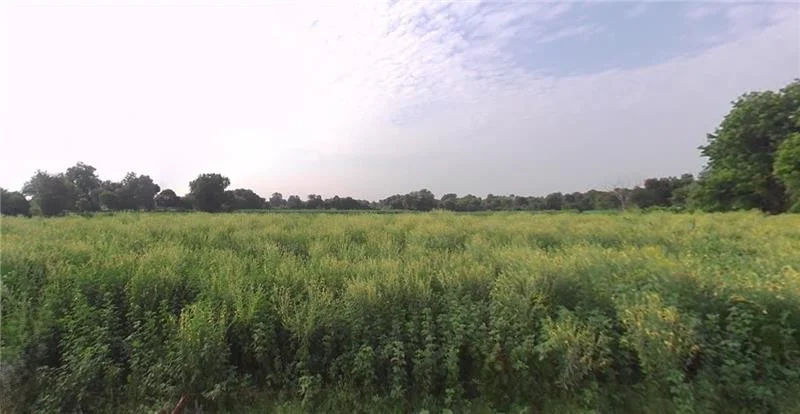 GP6F+QG Tindalava Mota, Gujarat, India preview 2