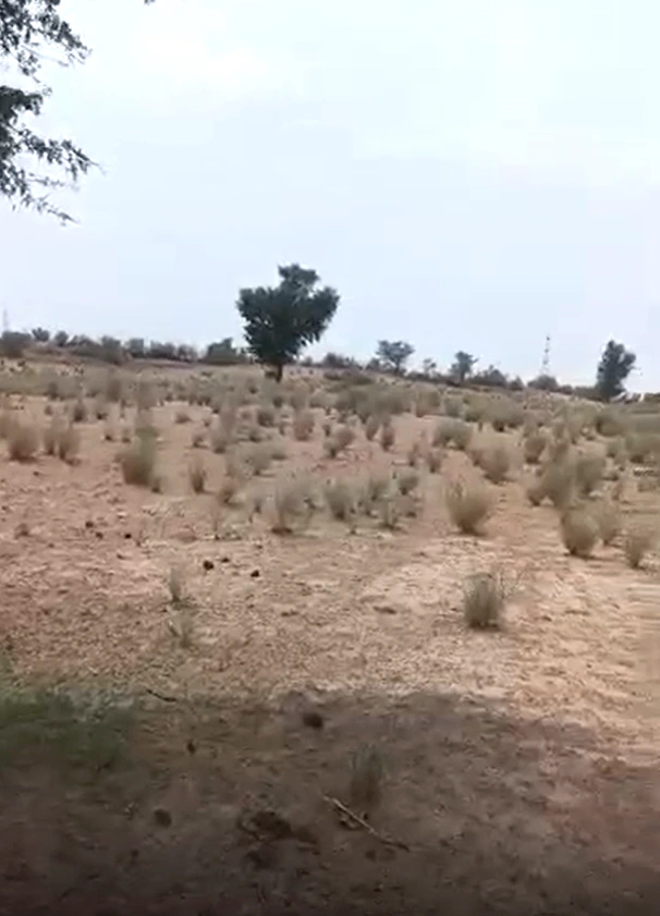 Harsora, Kotputli-Behror, Rajasthan 301412, India