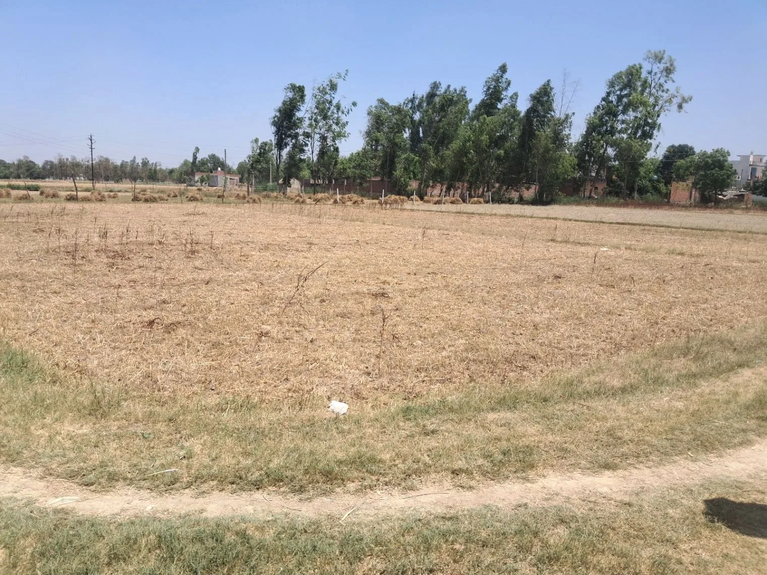 QW8R+33 Deora Kot, Uttar Pradesh, India