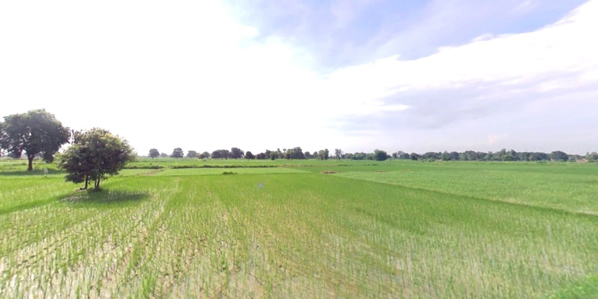 Kithoda, Madhya Pradesh, India